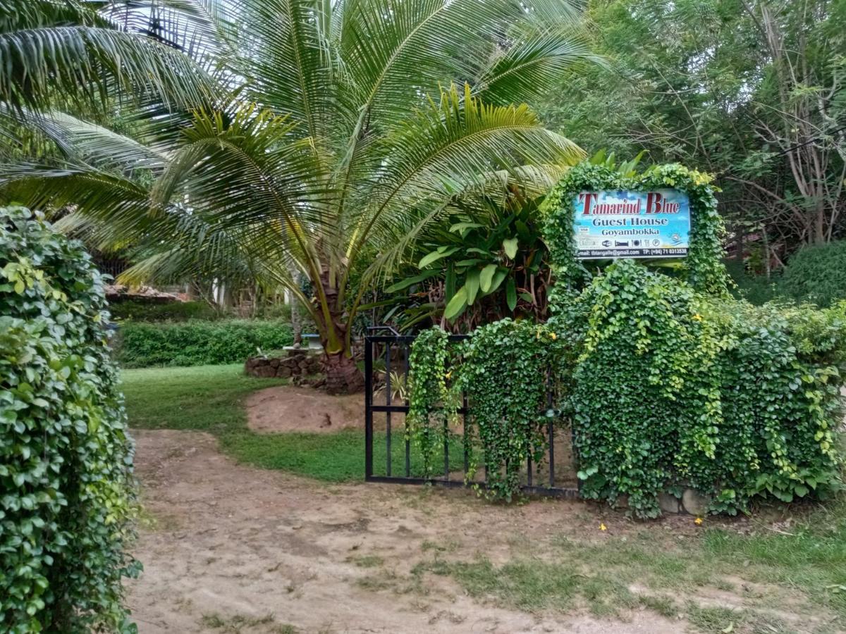 Tamarind Blue Hotel Tangalle Exterior foto