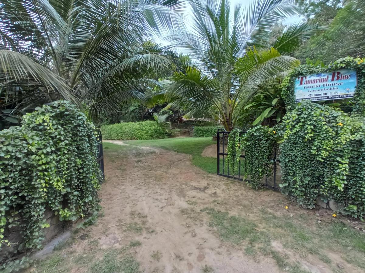 Tamarind Blue Hotel Tangalle Exterior foto